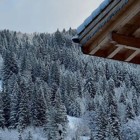 Winter Appartamento Gsteig